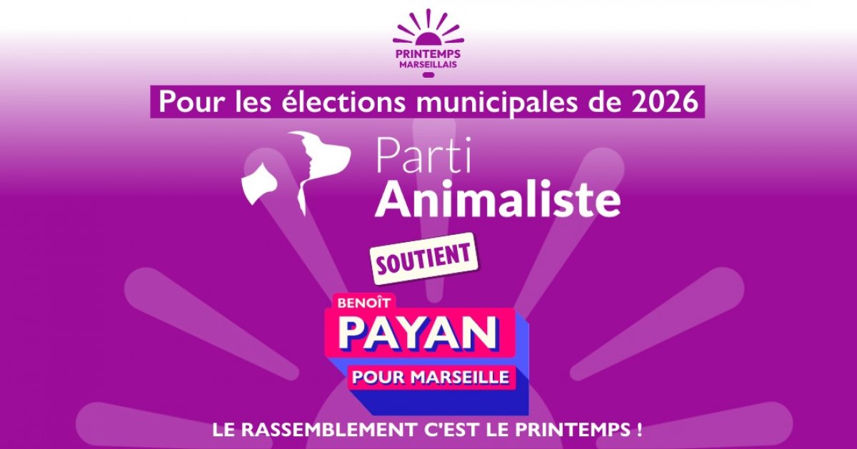 Nos 10 mesures pour le bien &ecirc;tre animal ! 